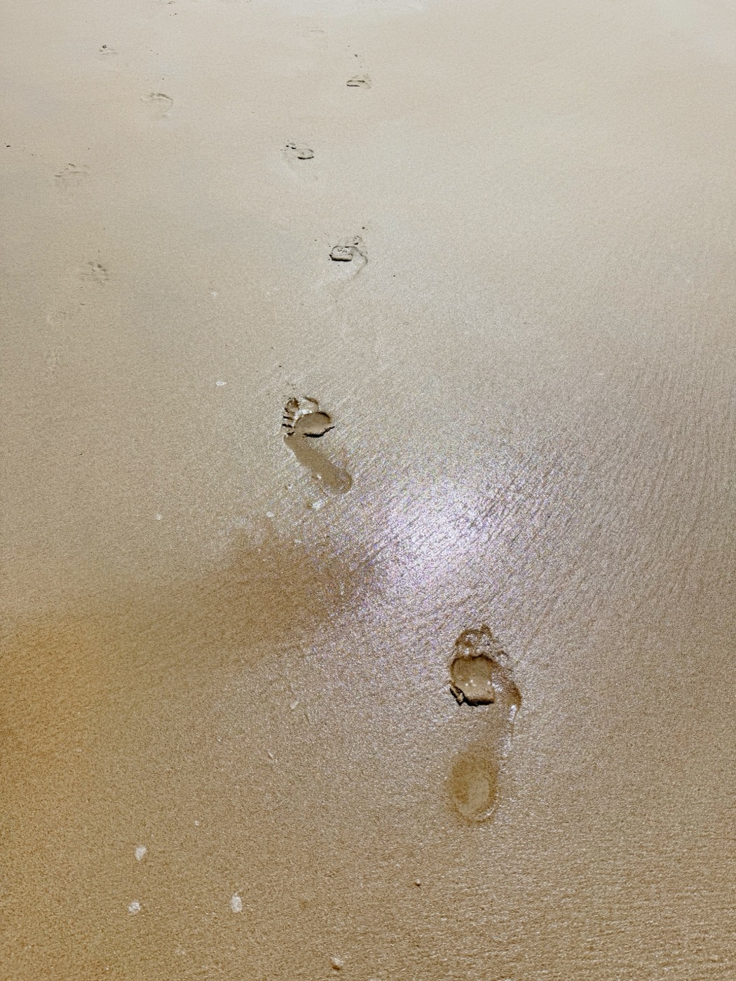 Nackte Fußspuren im nassen Sand, die in die Ferne führen